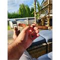 Arturo Fuente Maduro Canones 8 1/2 * 52