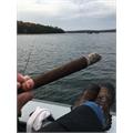 Arturo Fuente Maduro Curly Head Deluxe 6 1/2 * 43