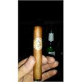 AVO Classic Robusto 5  * 50