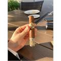 AVO Classic Robusto 5  * 50
