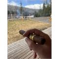 AVO Classic Robusto 5  * 50