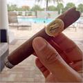 AVO Classic Robusto 5  * 50