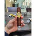 Baccarat Havana The Game Maduro Rothschild 5  * 50