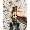 Baccarat Havana The Game Rothschild 5  * 50