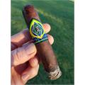 CAO Brazilia Amazon 6  * 60