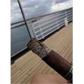CAO Brazilia Amazon 6  * 60