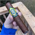 CAO Brazilia Gol! 5  * 56