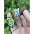 CAO Brazilia Gol! 5  * 56