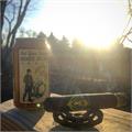 CAO Brazilia Lambada 6  * 50