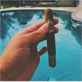 CAO Gold Label Corona Gorda 6 1/2 * 50