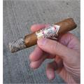 CAO Gold Label Robusto 5  * 50
