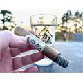 CAO Gold Label Robusto 5  * 50