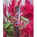 CAO Maduro Belicoso 6  * 54
