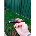 CAO Maduro Robusto 5  * 50
