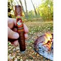 Cuesta Rey Centro Fino Sungrown No. 60 6  * 50