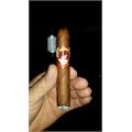 Cuesta Rey Centro Fino Sungrown Robusto No.7 4 1/2 * 50