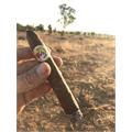 La Gloria Cubana Natural Torpedo 6 1/4 * 54