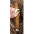 Macanudo Cafe Hyde Park 5 1/2 * 49