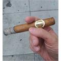 Macanudo Cafe Hyde Park 5 1/2 * 49