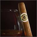 Macanudo Cafe Hyde Park 5 1/2 * 49
