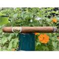 Macanudo Cafe Petit Corona 5  * 38