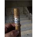 Perdomo Lot 23 Churchill 7  * 50