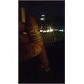 Perdomo Lot 23 Toro 6  * 50