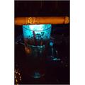 Perdomo Lot 23 Toro 6  * 50