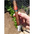 Punch Natural Double Corona 6 3/4 * 48
