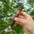 Punch Natural Double Corona 6 3/4 * 48