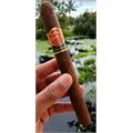 Punch Natural Double Corona 6 3/4 * 48