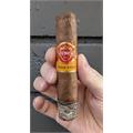 Punch Gran Puro Santa Rita 4 1/2 * 52