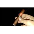 Punch Gran Puro Santa Rita 4 1/2 * 52