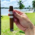 Rocky Patel Vintage 1999 Robusto 5 1/2 * 50