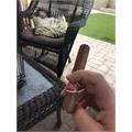 Romeo y Julieta 1875 Bully 5  * 50