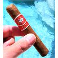 Romeo y Julieta 1875 Bully 5  * 50