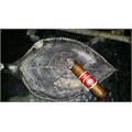 Romeo y Julieta 1875 Bully 5  * 50