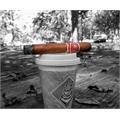 Romeo y Julieta Reserva Real Toro 6  * 54