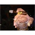 Excalibur Maduro Epicure 5 1/4 * 50