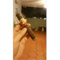 La Gloria Cubana Serie R Maduro No. 5 5 1/2 * 54