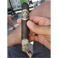 Partagas Black Label Magnifico 6  * 54