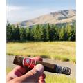 Romeo y Julieta 1875 Exhibition #3 6  * 50