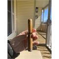 Perdomo Reserve Champagne Epicure 6  * 54