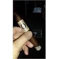 Perdomo Habano Corojo Torpedo 6 1/2 * 54
