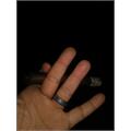 Tabak Especial Toro Negra 6  * 52