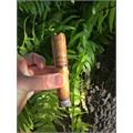 Tabak Especial Robusto Dulce 5  * 54