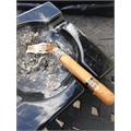 Tabak Especial Toro Dulce 6  * 52