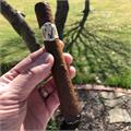 AVO Classic No. 2 6  * 50