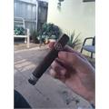 Padron Series 2000 Natural 5  * 50