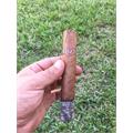 Padron Series 2000 Natural 5  * 50